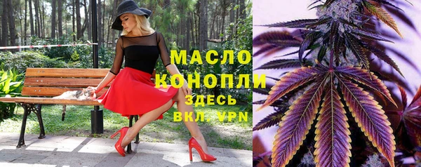 прущие грибы Михайлов