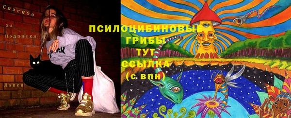 дмт Надым