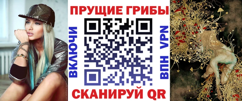 Псилоцибиновые грибы GOLDEN TEACHER  Новосиль 